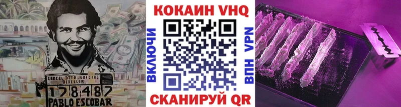 COCAIN Fish Scale  Купить закладки  Гатчина 