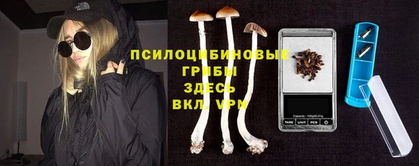 мет Коряжма