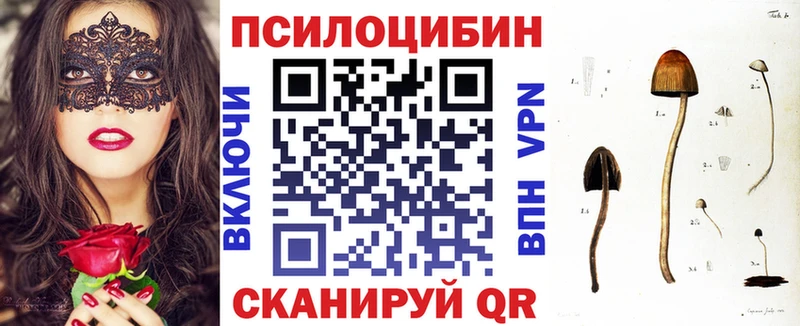 Псилоцибиновые грибы мицелий  Купить где  Гатчина 