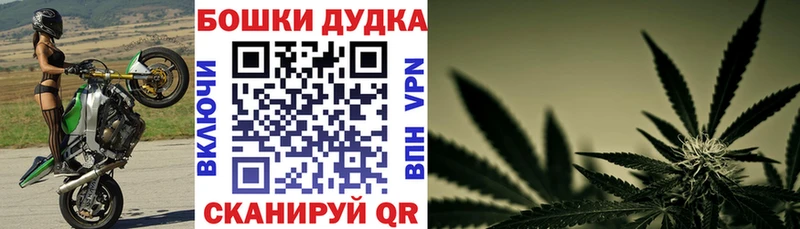 Купить  Гатчина  Каннабис семена 